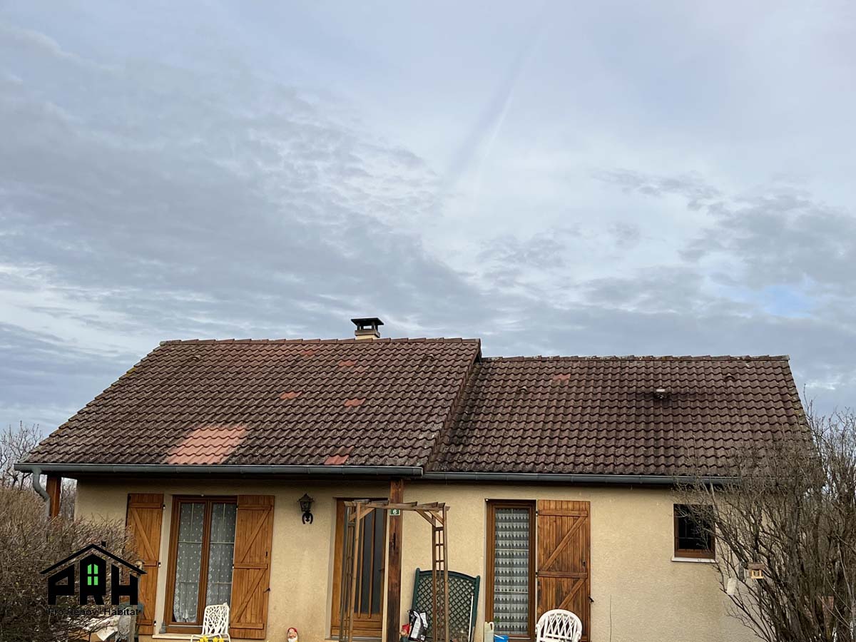 Photo d'une toiture avant le traitement et le démoussage de celle-ci